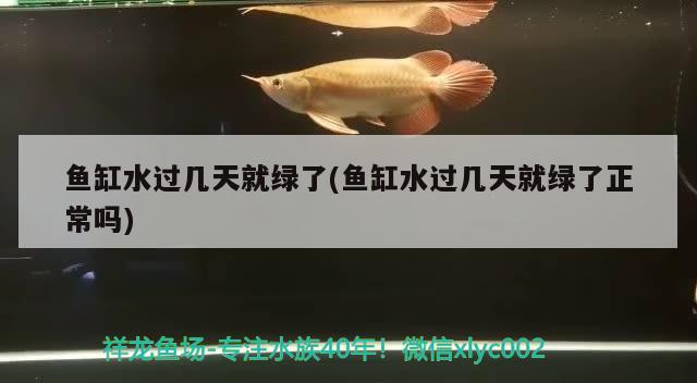 魚缸水過幾天就綠了(魚缸水過幾天就綠了正常嗎) 祥龍龍魚魚糧