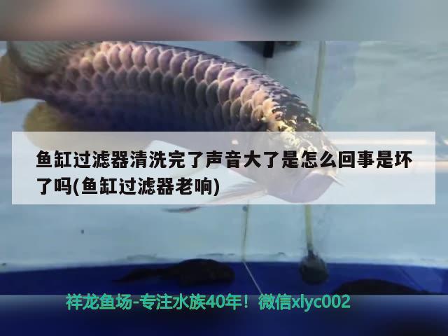 魚(yú)缸過(guò)濾器清洗完了聲音大了是怎么回事是壞了嗎(魚(yú)缸過(guò)濾器老響) 斑馬鴨嘴魚(yú)苗