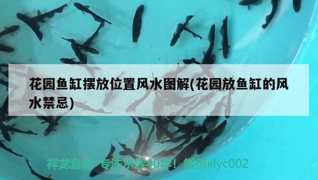 花園魚(yú)缸擺放位置風(fēng)水圖解(花園放魚(yú)缸的風(fēng)水禁忌) 魚(yú)缸風(fēng)水