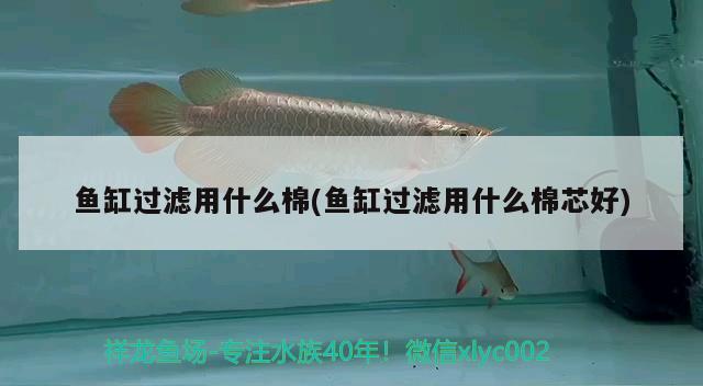 魚(yú)缸過(guò)濾用什么棉(魚(yú)缸過(guò)濾用什么棉芯好)