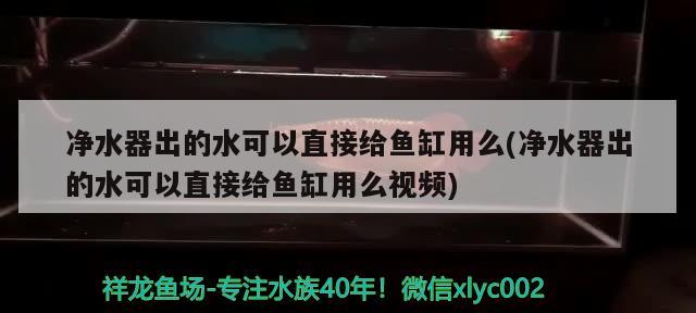 凈水器出的水可以直接給魚缸用么(凈水器出的水可以直接給魚缸用么視頻) 泰國虎魚