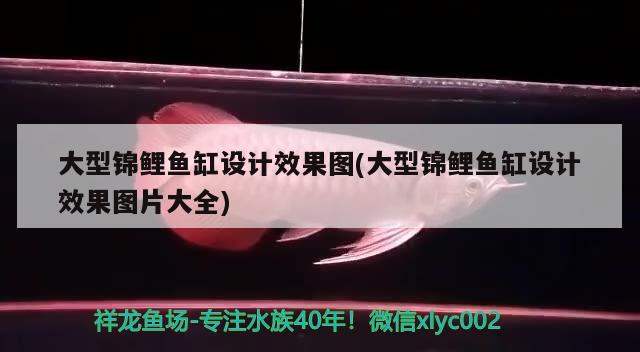 魚缸過濾器怎么安裝，有蓋的魚缸怎么安裝過濾器 養(yǎng)魚的好處 第2張