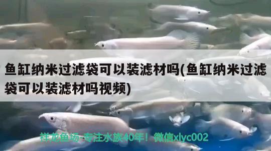 魚缸納米過濾袋可以裝濾材嗎(魚缸納米過濾袋可以裝濾材嗎視頻) 非洲象鼻魚