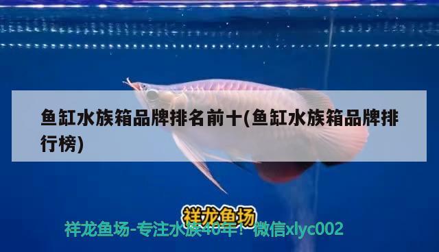 魚缸水族箱品牌排名前十(魚缸水族箱品牌排行榜) 魚缸/水族箱