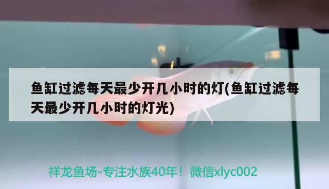 魚缸過濾每天最少開幾小時的燈(魚缸過濾每天最少開幾小時的燈光)