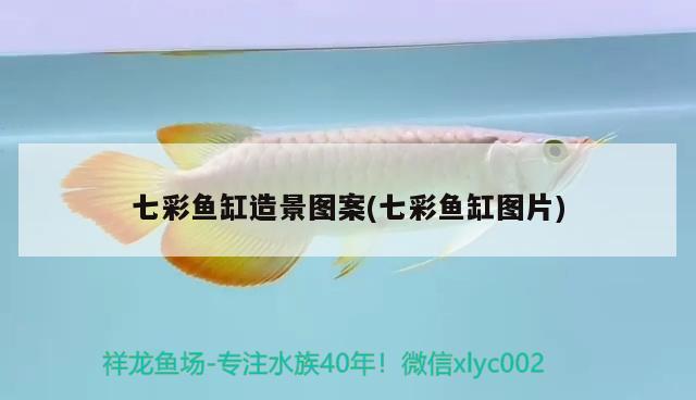 龍魚掉眼最簡單的恢復(fù)方法圖解大全：龍魚掉眼最簡單的恢復(fù)方法圖解大全視頻