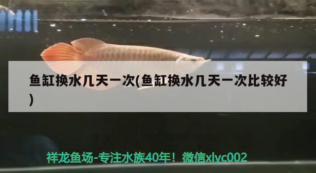 魚缸換水幾天一次(魚缸換水幾天一次比較好) 水族世界