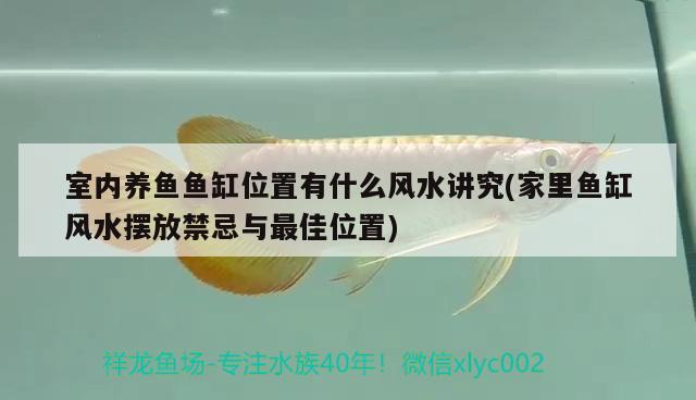 室內(nèi)養(yǎng)魚魚缸位置有什么風(fēng)水講究(家里魚缸風(fēng)水?dāng)[放禁忌與最佳位置)