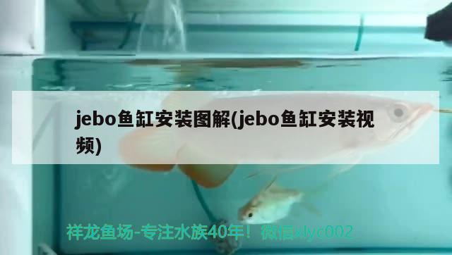 jebo魚缸安裝圖解(jebo魚缸安裝視頻)