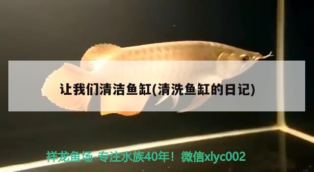 讓我們清潔魚缸(清洗魚缸的日記)