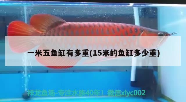 一米五魚缸有多重(15米的魚缸多少重) 巴西亞魚