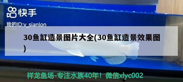 30魚(yú)缸造景圖片大全(30魚(yú)缸造景效果圖) 龍魚(yú)芯片掃碼器