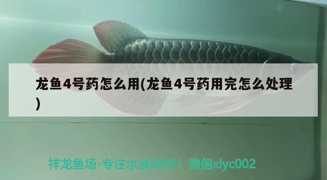 濟(jì)南魚缸回收電話多少號(hào)碼：濟(jì)南二手魚缸轉(zhuǎn)讓58同城 廣州水族批發(fā)市場(chǎng) 第3張