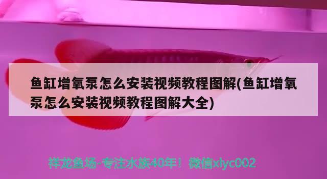 魚(yú)缸出水口最佳位置圖示圖片：魚(yú)缸出水口最佳位置圖示圖片