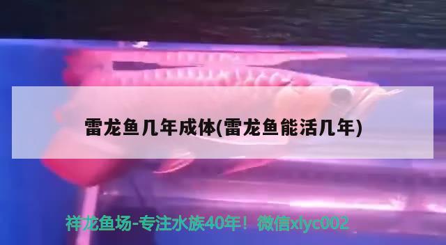 宜春龍魚日化科技有限公司招聘電話地址（宜春龍魚日化科技有限公司招聘電話地址是多少） 球鯊魚 第4張