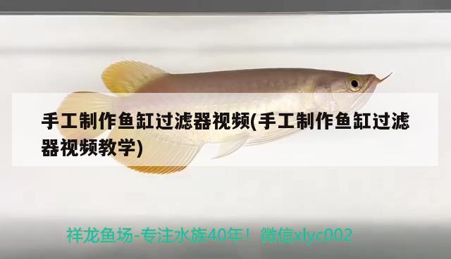 去哪里買魚缸便宜又好用，蘭州哪里賣魚缸便宜又好用，去哪里買魚缸便宜又好用 帝王三間魚 第3張