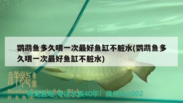 世界十大狠魚