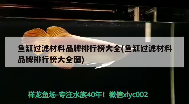 魚缸過濾材料品牌排行榜大全(魚缸過濾材料品牌排行榜大全圖) 祥龍超血紅龍魚