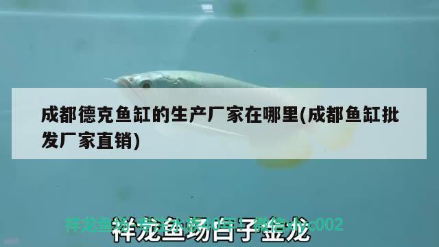 成都德克魚缸的生產(chǎn)廠家在哪里(成都魚缸批發(fā)廠家直銷) 馬拉莫寶石魚苗