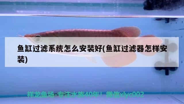 魚缸過濾系統(tǒng)怎么安裝好(魚缸過濾器怎樣安裝) 水族燈（魚缸燈）