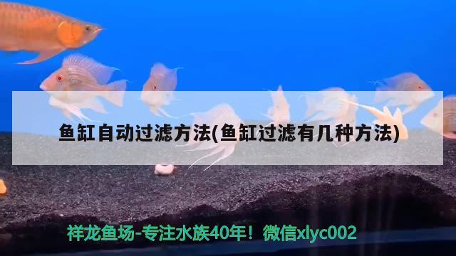 魚(yú)缸自動(dòng)過(guò)濾方法(魚(yú)缸過(guò)濾有幾種方法)