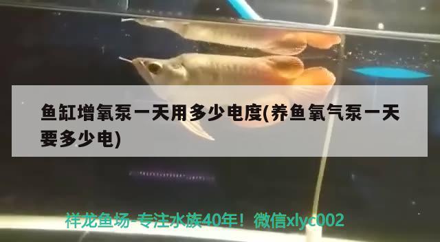 大姚怡林園水族花鳥店 全國水族館企業(yè)名錄