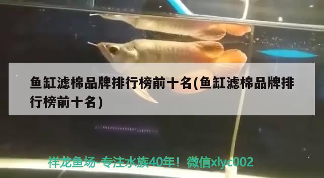 魚缸濾棉品牌排行榜前十名(魚缸濾棉品牌排行榜前十名) 祥龍水族護理水