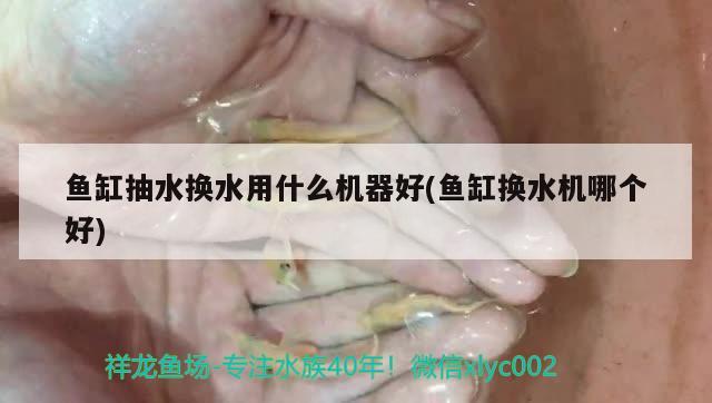 魚缸抽水換水用什么機器好(魚缸換水機哪個好) 哥倫比亞巨暴魚苗