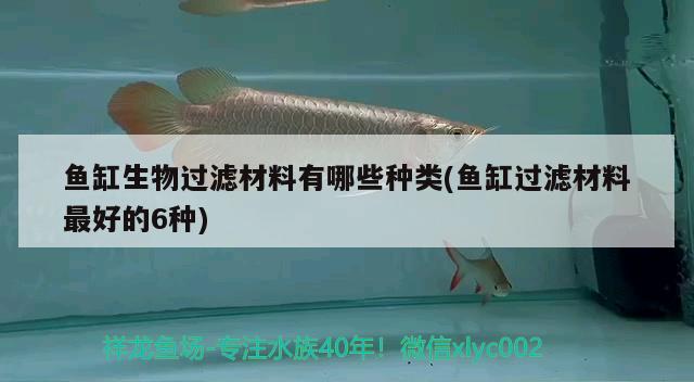 魚缸生物過濾材料有哪些種類(魚缸過濾材料最好的6種)