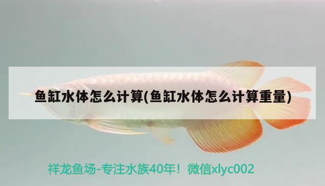 魚缸水體怎么計算(魚缸水體怎么計算重量) 白寫錦鯉魚