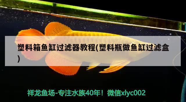 塑料箱魚缸過濾器教程(塑料瓶做魚缸過濾盒) 錦鯉池魚池建設(shè)