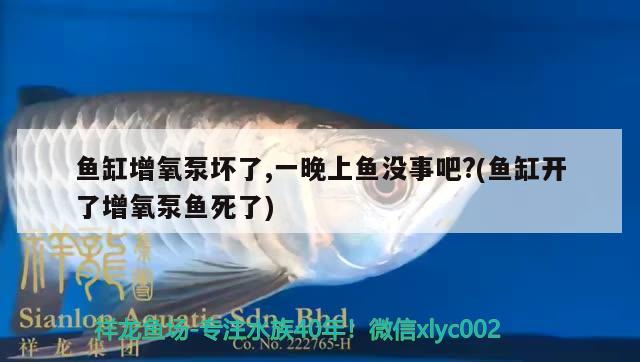 二氧化氯消毒老魚缸步驟，二手水族箱有異味怎么處理 魚缸/水族箱 第2張