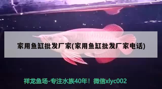 云城區(qū)洪偉水產(chǎn)品店 全國水族館企業(yè)名錄 第1張