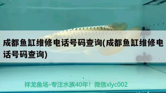 成都魚缸維修電話號碼查詢(成都魚缸維修電話號碼查詢) 蝴蝶鯉