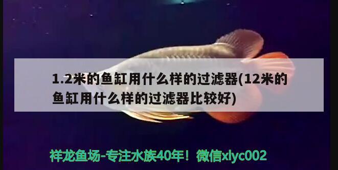 1.2米的魚缸用什么樣的過濾器(12米的魚缸用什么樣的過濾器比較好) 沖氧泵