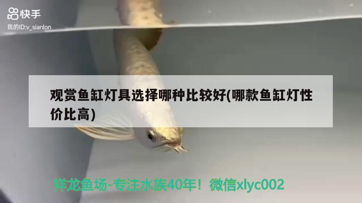 觀賞魚缸燈具選擇哪種比較好(哪款魚缸燈性價比高)