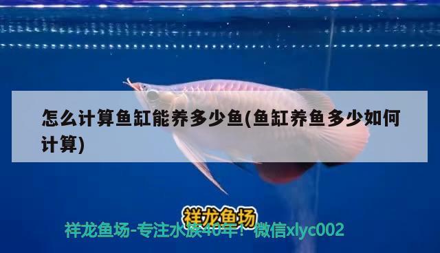 錫林郭勒龍魚水族店(哈爾濱海水魚店) 海水魚 第1張