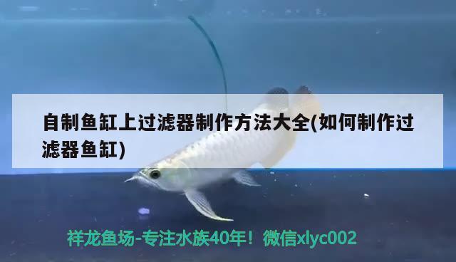 自制魚缸上過濾器制作方法大全(如何制作過濾器魚缸) 肥料