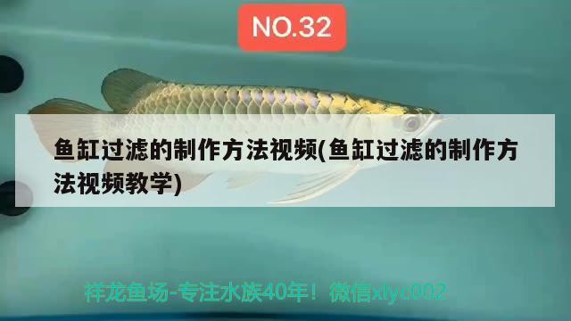 魚(yú)缸過(guò)濾的制作方法視頻(魚(yú)缸過(guò)濾的制作方法視頻教學(xué))