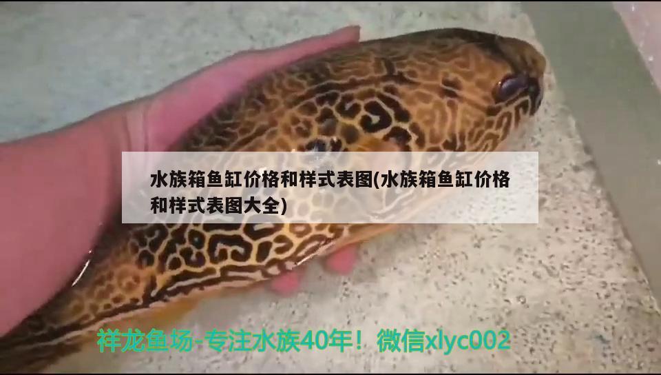 水族箱魚缸價格和樣式表圖(水族箱魚缸價格和樣式表圖大全) 魚缸/水族箱