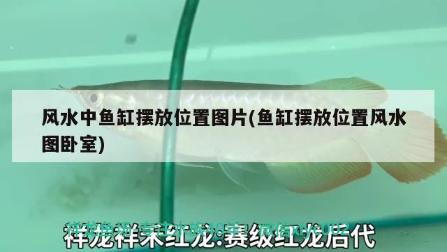 風(fēng)水中魚缸擺放位置圖片(魚缸擺放位置風(fēng)水圖臥室) 魚缸風(fēng)水