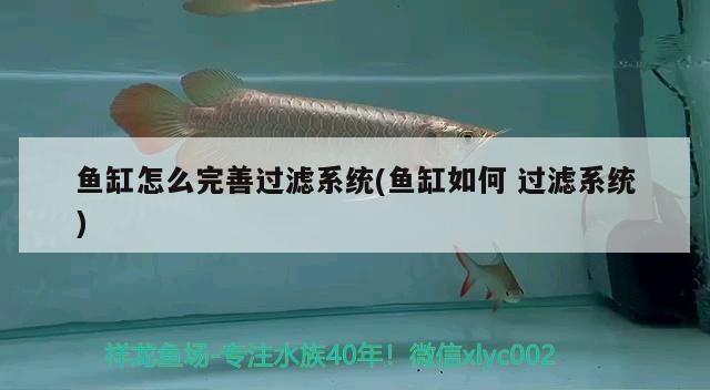 魚缸怎么完善過濾系統(tǒng)(魚缸如何過濾系統(tǒng))