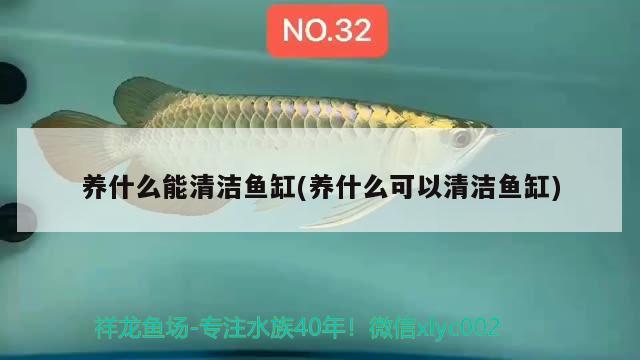 魚缸過濾石材有必要用嗎（魚缸過濾材料有用嗎_）