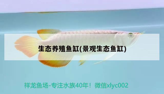 生態(tài)養(yǎng)殖魚缸(景觀生態(tài)魚缸) 水族用品