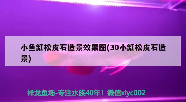 咸陽水族批發(fā)市場在哪里呀：咸陽市水族市場 觀賞魚水族批發(fā)市場 第1張