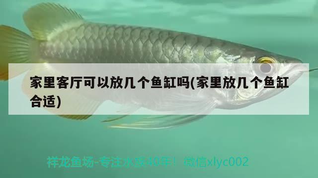 廊坊魚缸生產(chǎn)廠家有哪些（廊坊魚缸生產(chǎn)廠家有哪些地方） 黃金鴨嘴魚