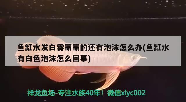 山東東營(yíng)西城做魚缸的店有哪些地方賣、山東東營(yíng)西城有哪些地方，山東東營(yíng)西城做魚缸的店有哪些地方