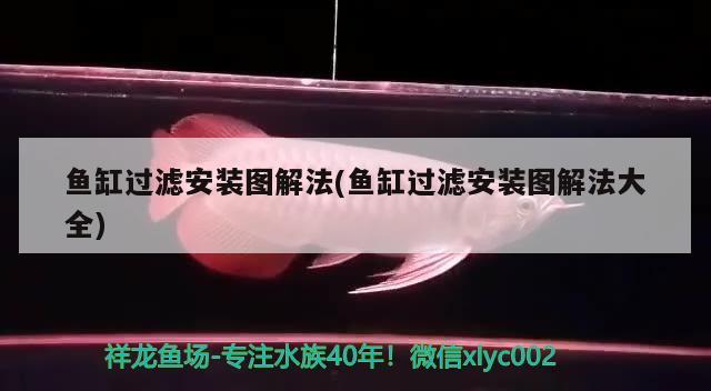 魚(yú)缸過(guò)濾安裝圖解法(魚(yú)缸過(guò)濾安裝圖解法大全) 白子關(guān)刀魚(yú)