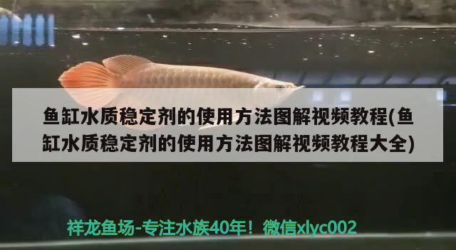 魚缸水質(zhì)穩(wěn)定劑的使用方法圖解視頻教程(魚缸水質(zhì)穩(wěn)定劑的使用方法圖解視頻教程大全)