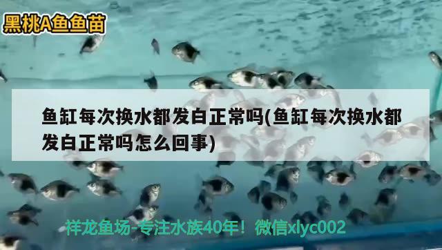 魚缸每次換水都發(fā)白正常嗎(魚缸每次換水都發(fā)白正常嗎怎么回事)